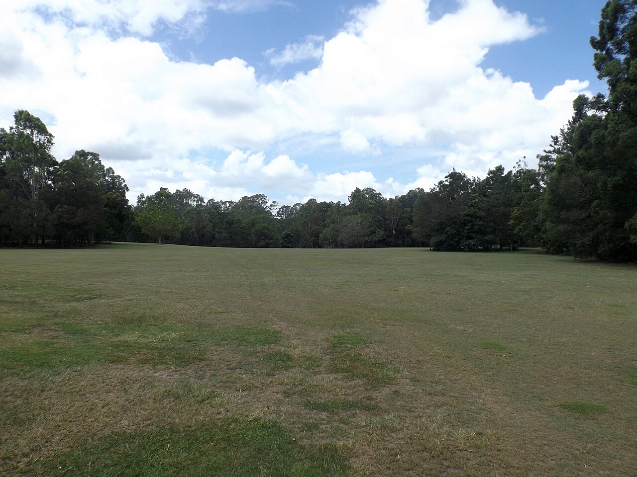 Open grass and trees at Alexander Clark Park, Loganholme