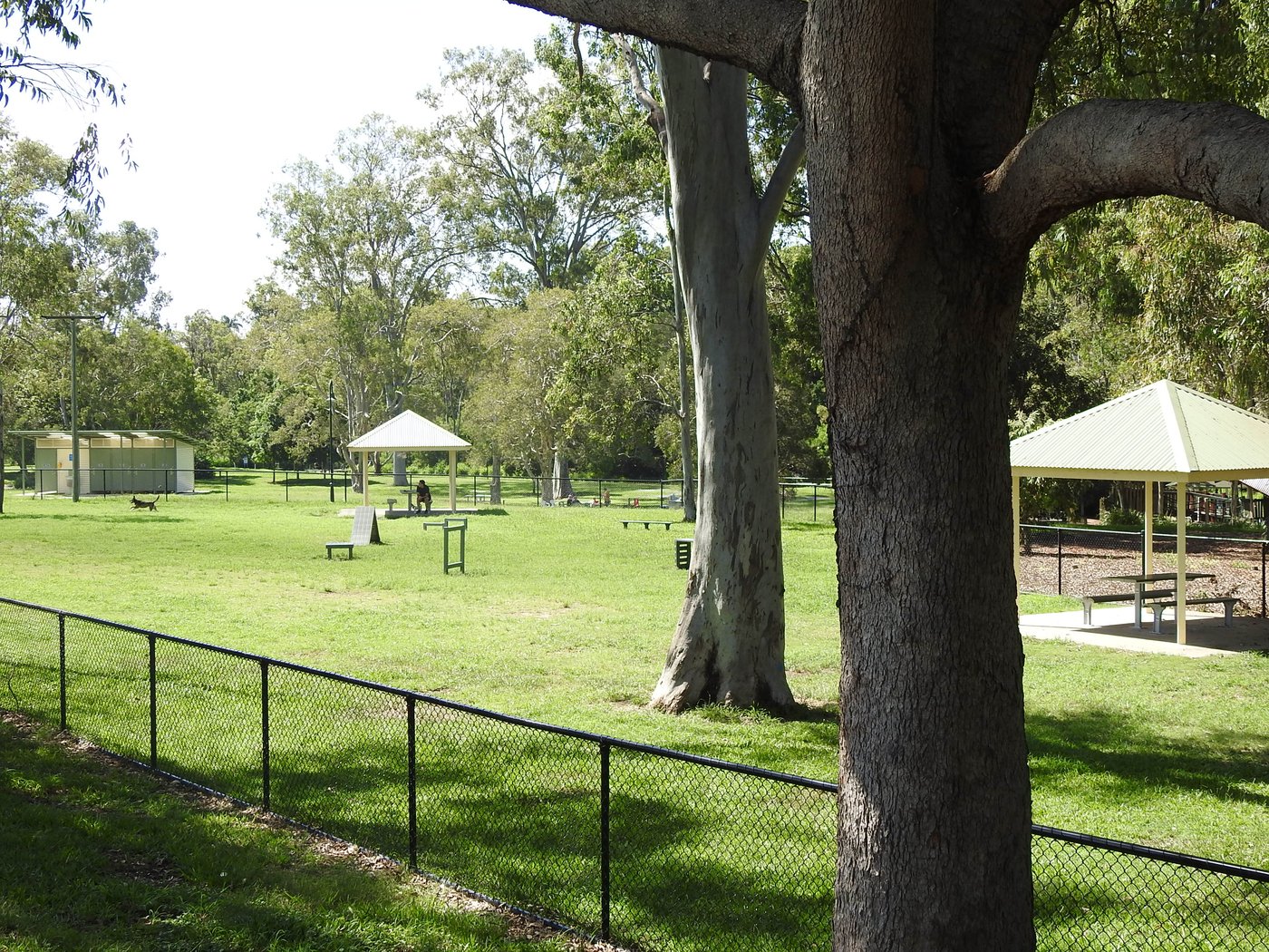 Kalinga Park, Kalinga