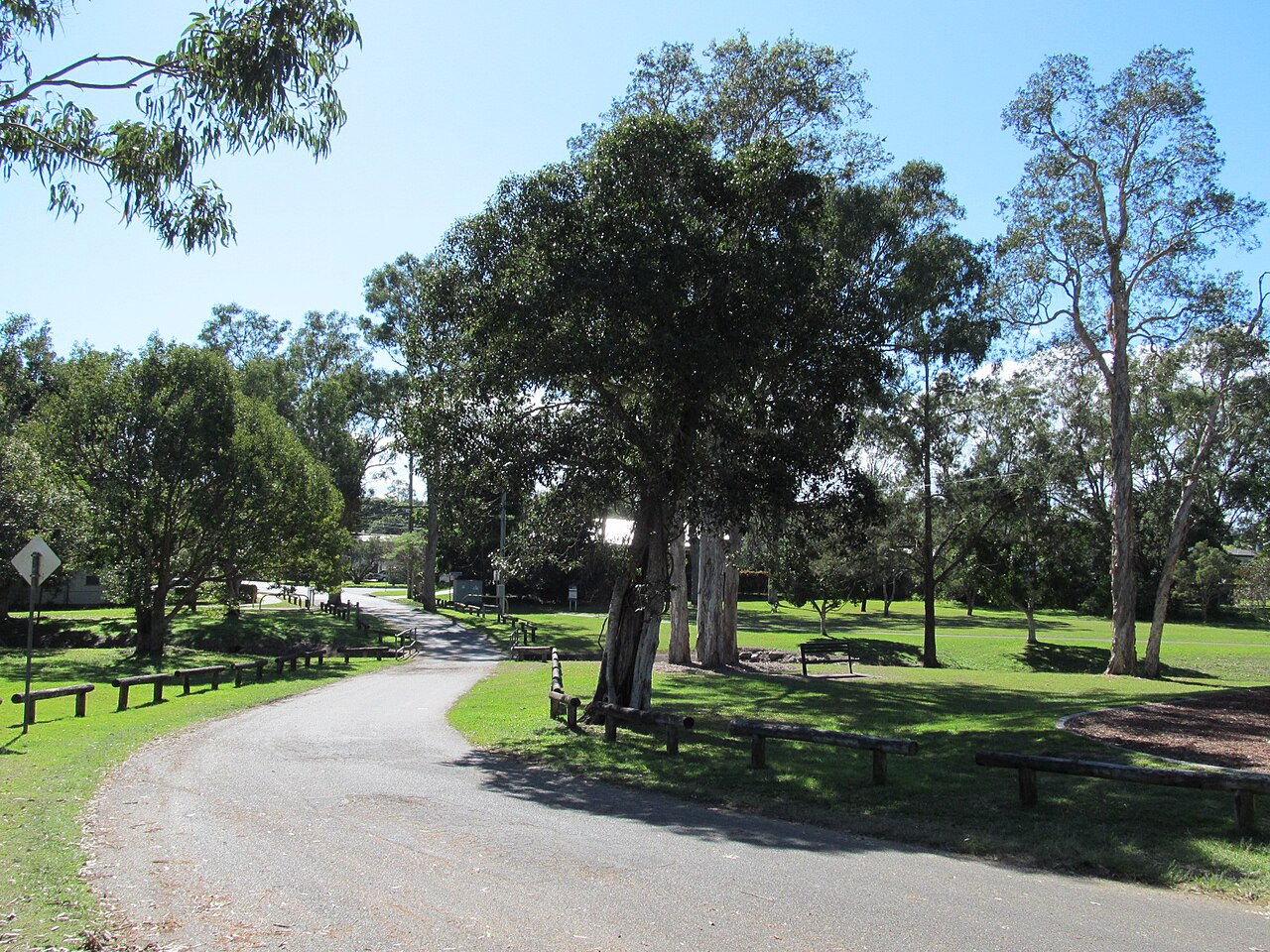 Coopers Plains beryl roberts 3