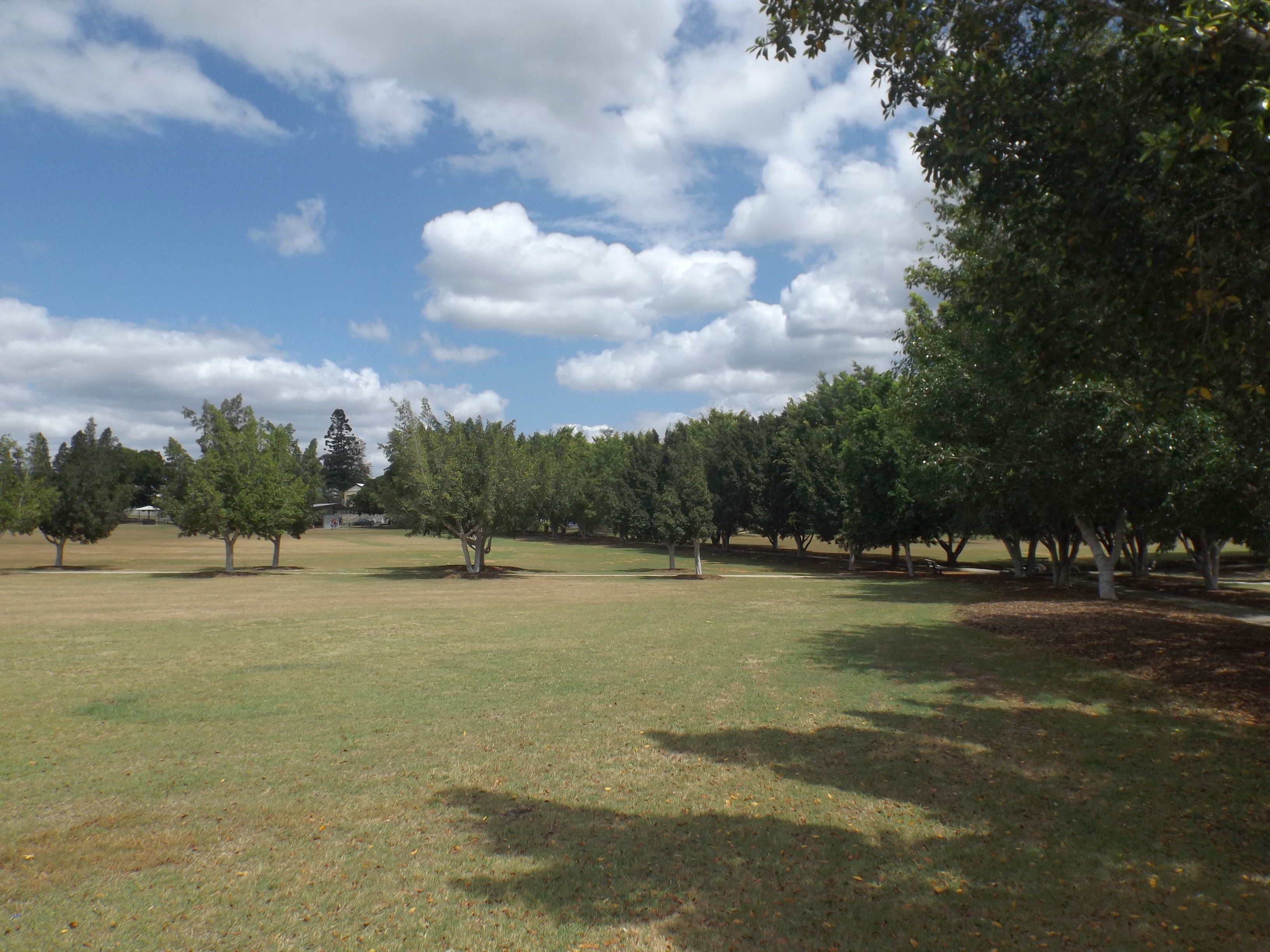 Open lawn and shade trees at Cameron Park, Booval