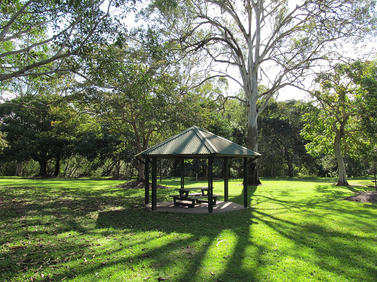 Capalaba regional park 2