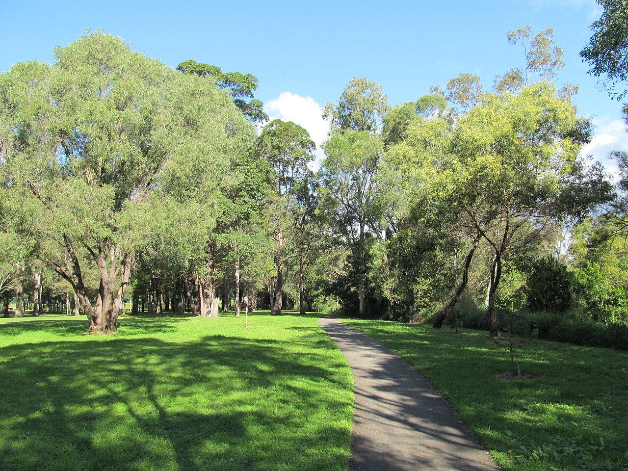 Capalaba regional park 5