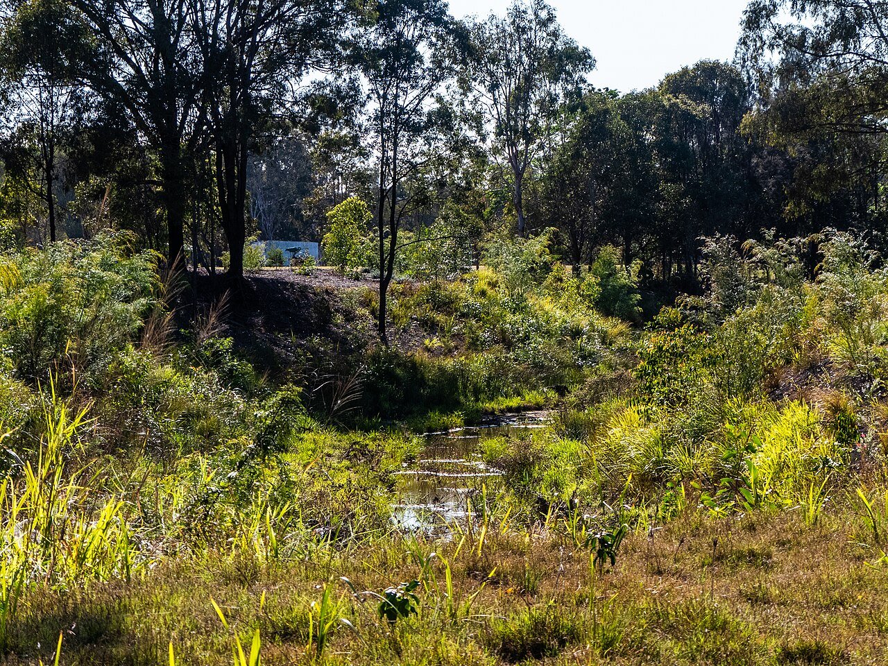 Downfall Creek running through 7th Brigade Park