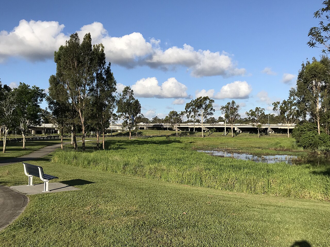 Grassy riverbank at Logan River Parklands, Beenleigh
