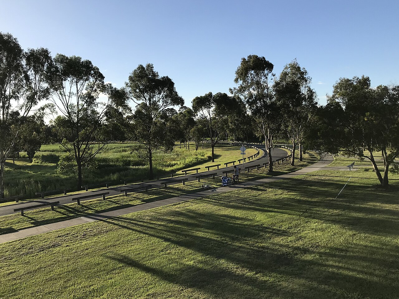 Lawn and trees at Logan River Parklands