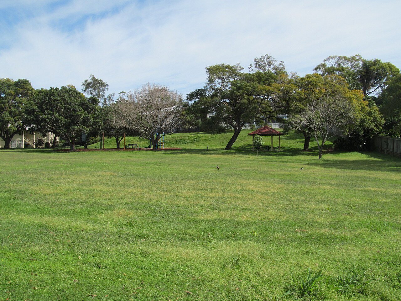 Grass and trees at W.A. Jolly Park