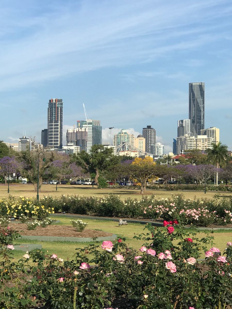 An oasis in the city, New Farm Park, looking towards the Brisbane CBD, 2021