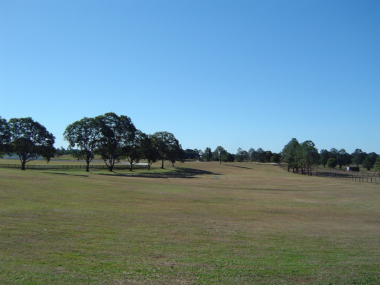 Open grass at Newstead Park, Buccan