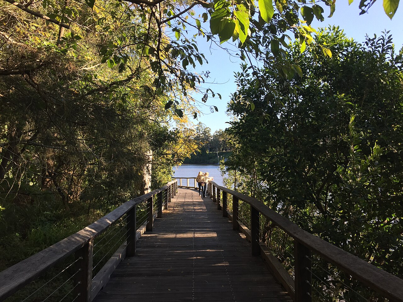 Boardwalk along Brisbane River at Sherwood Arboretum
