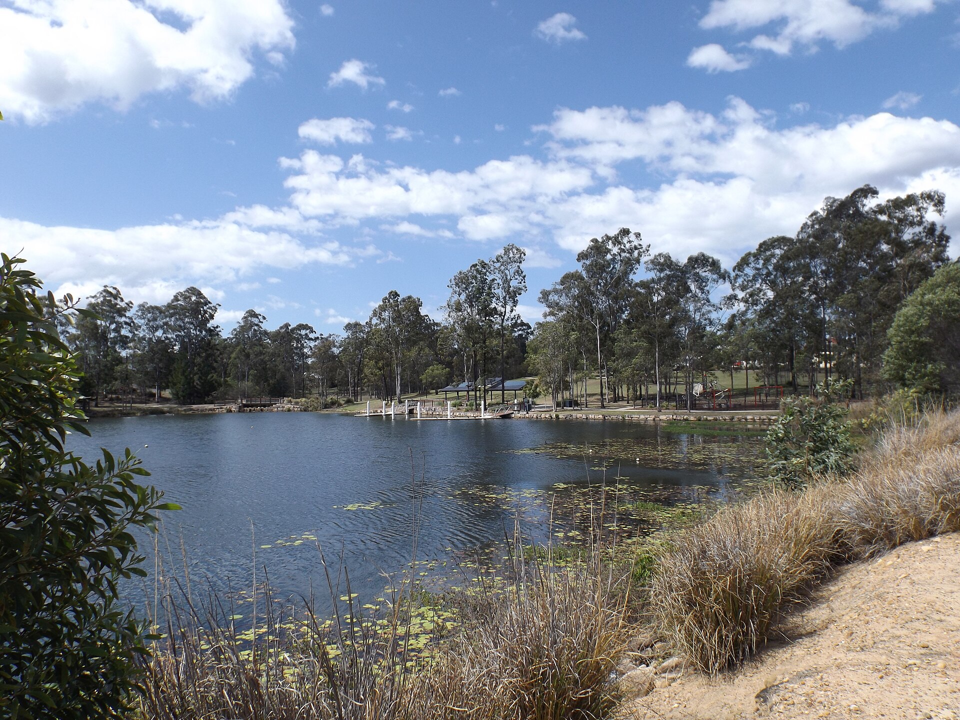 Spring Lake surrounded by trees at Springfield Lakes