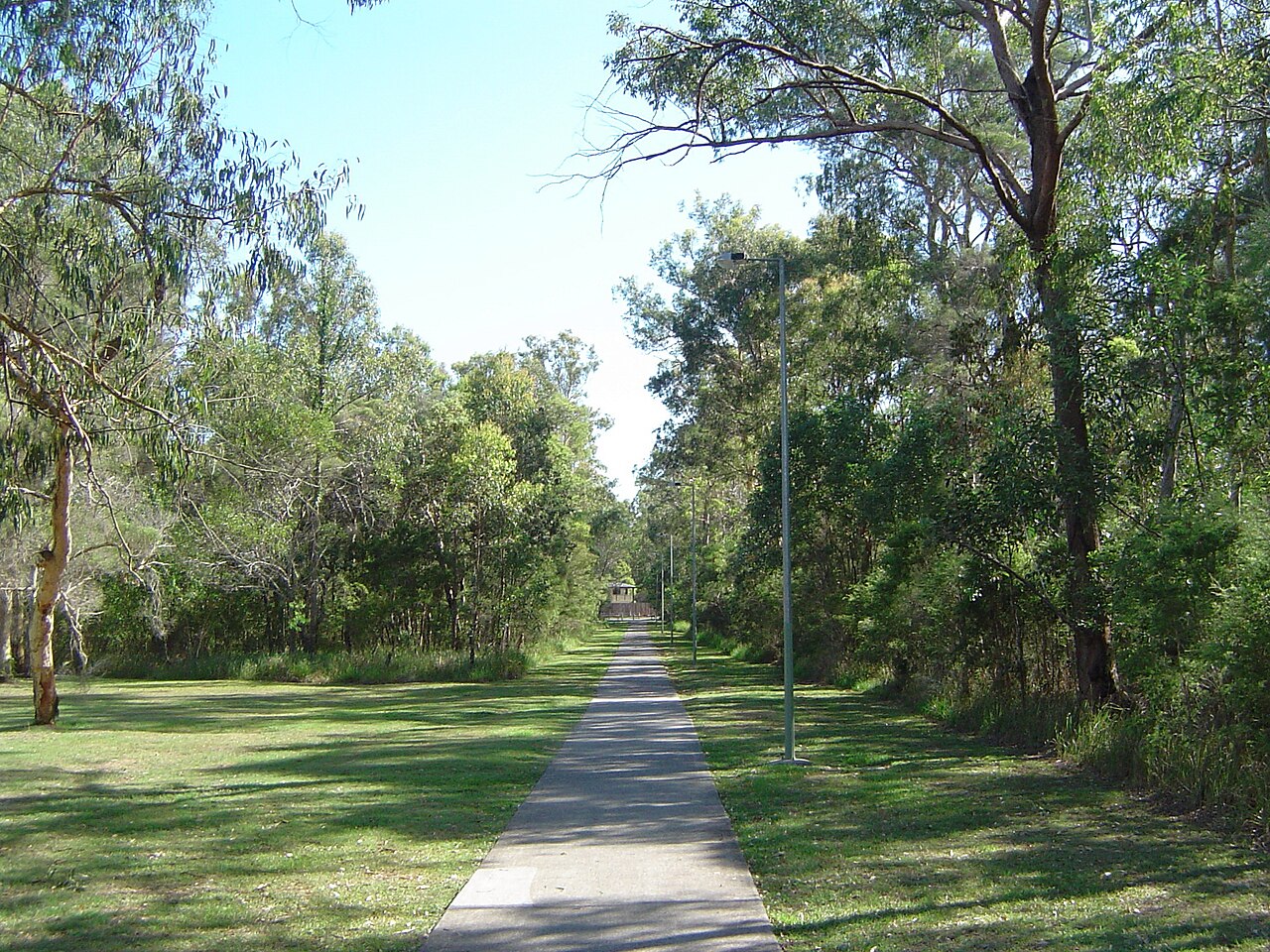 Path through bushland at Sturdee Park