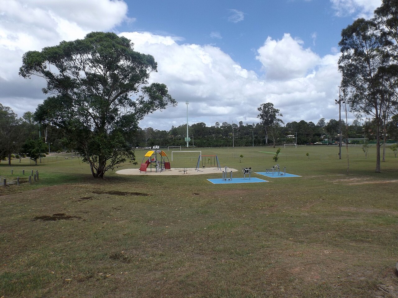 Open grass at Tudor Park, Loganholme
